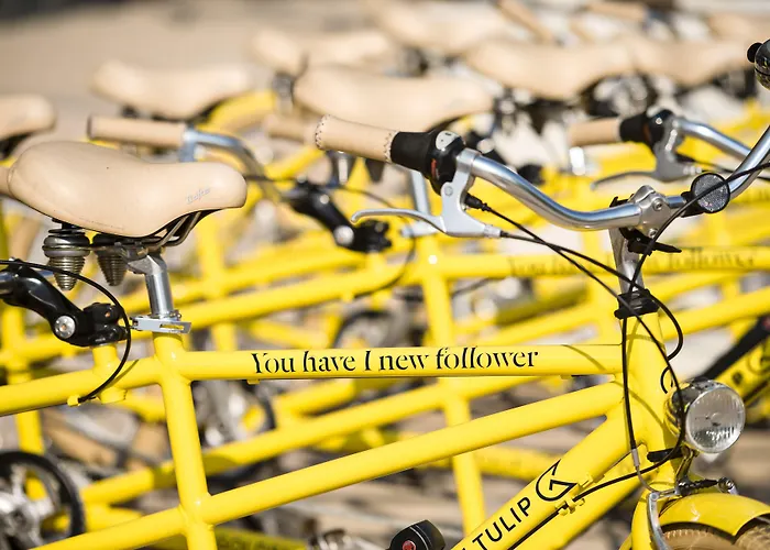 Szálloda Voco Centre - The Garden By Ihg Strasbourg