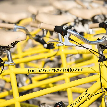 Hotel Voco Centre - The Garden By Ihg Straatsburg